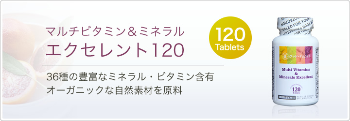 マルチビタミン＆ミネラル エクセレント120