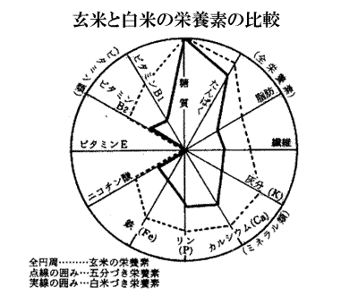 ファーメントパウダー